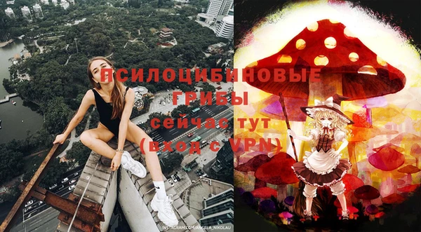 эйфоретик Алексеевка