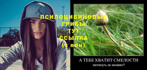 эйфоретик Алексеевка