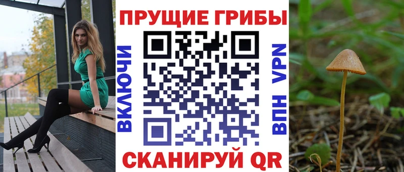 Галлюциногенные грибы мухоморы  Элиста 